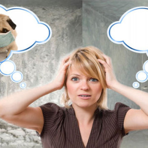 ANTİBAKTERİYEL TEMİZLİK ANTİBAKTERİYEL TEMİZLİK